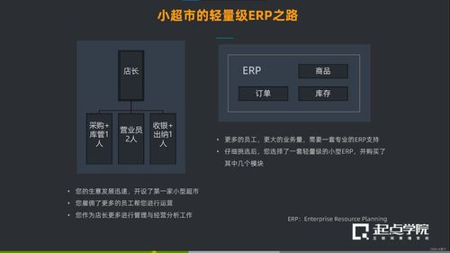 企业级软件应用架构设计 从理论到实践